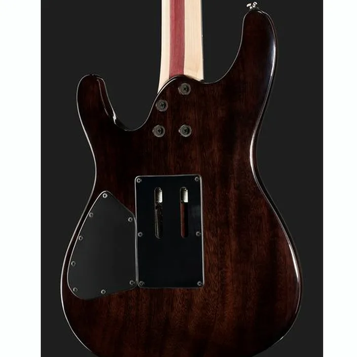 Guitare Ibanez JIVA 10-DSB : Avis, Test et Comparatif