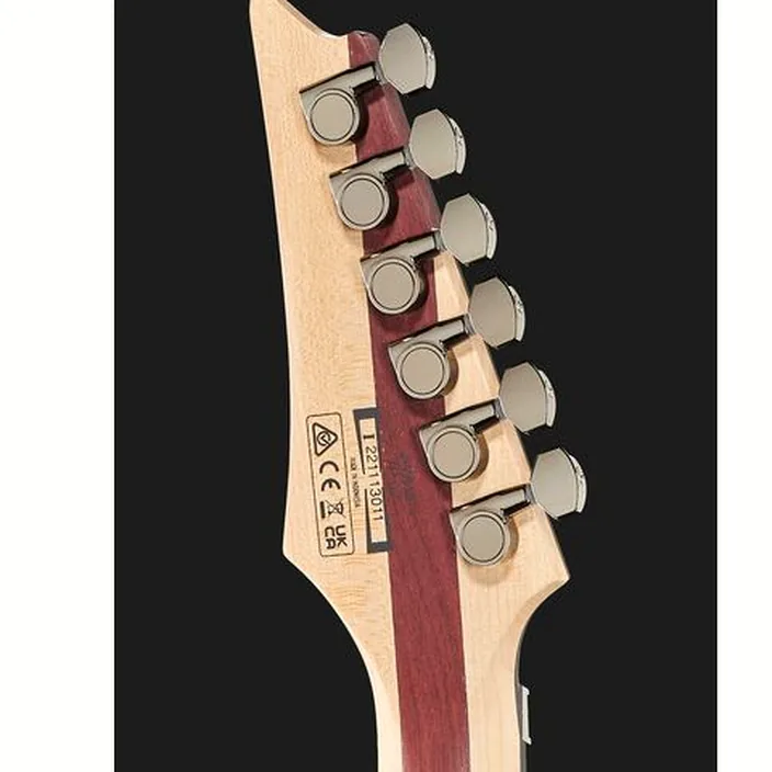 Guitare Ibanez JIVA 10-DSB : Avis, Test et Comparatif