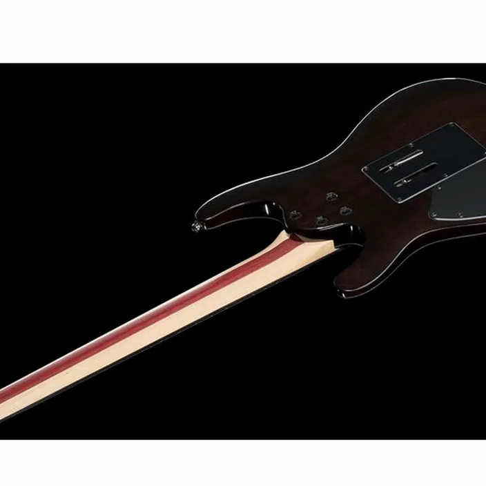 Guitare Ibanez JIVA 10-DSB : Avis, Test et Comparatif