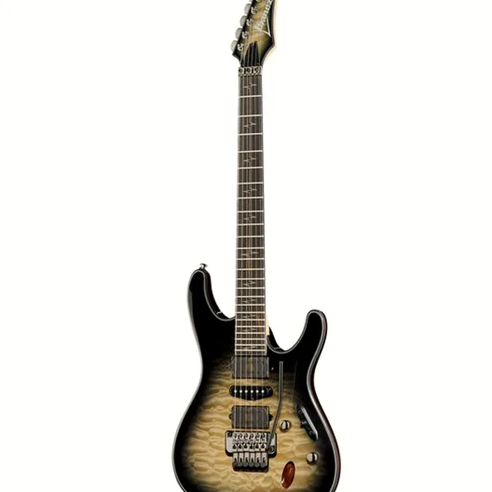 Guitare Ibanez JIVA 10-DSB