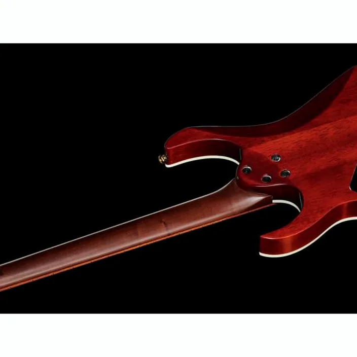 Guitare Ibanez RG421HPAH-BWB