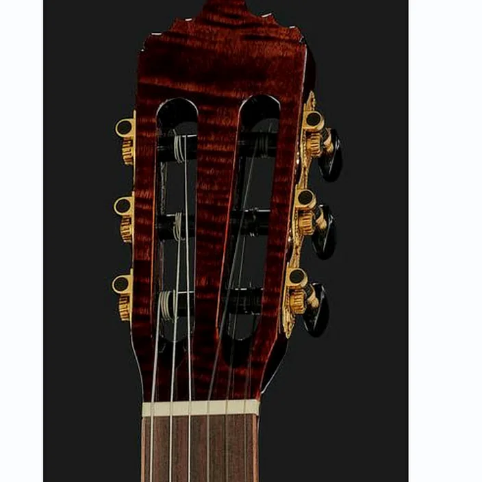 La guitare La Mancha Opalo SX-FEN : Avis, Comparatif et Test