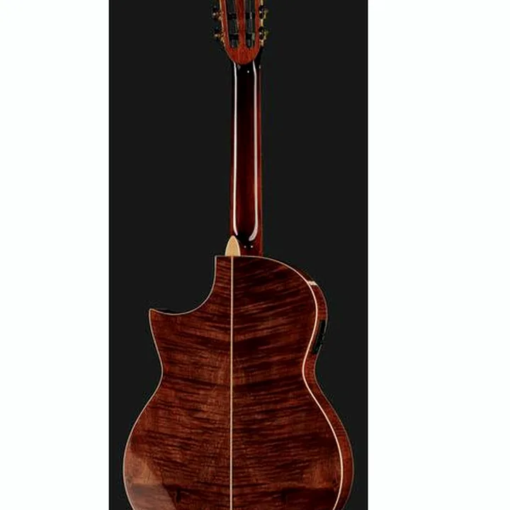 Guitare La Mancha Opalo SX-FEN / Test & Avis