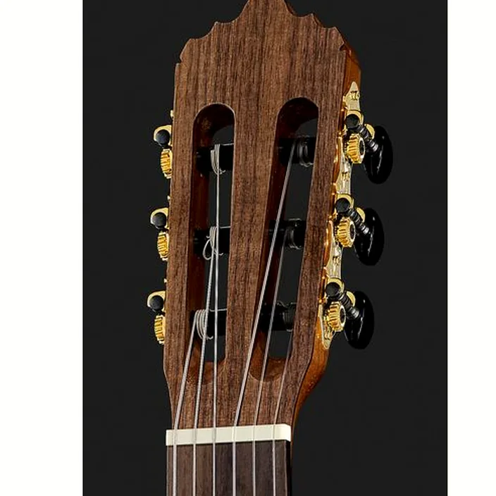 Et Avis de la guitare La Mancha Rubi SMX/59