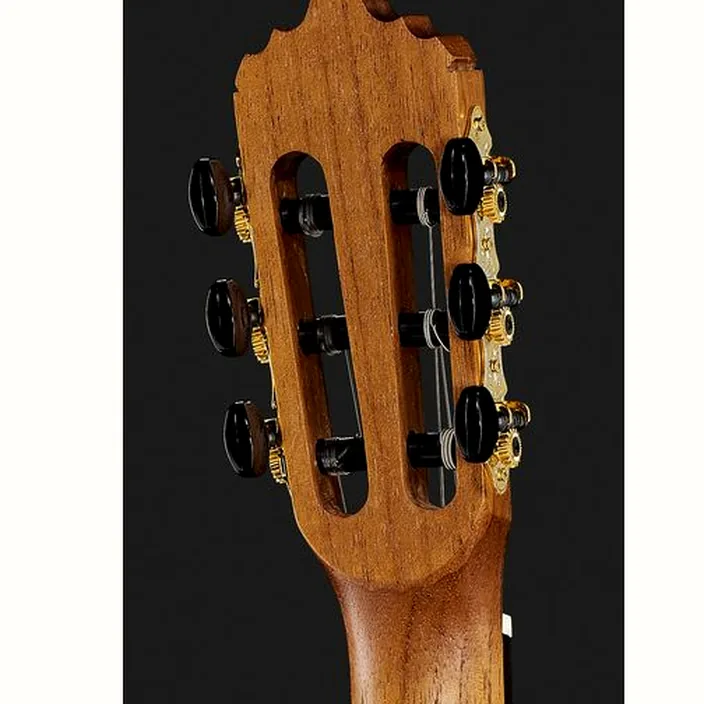 Et Avis de la guitare La Mancha Rubi SMX/59