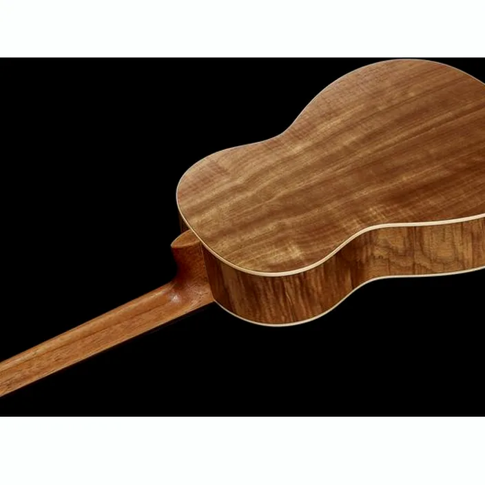 Et Avis de la guitare La Mancha Rubi SMX/59
