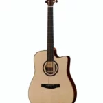 Guitare Lakewood D-31 CP , Test, Avis & Comparatif