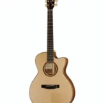 Guitare Lakewood M-18 CP Eigenart / Avis, Comparatif & Test