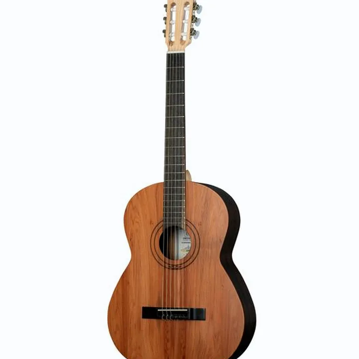 Guitare Ortega R16PC Test, Avis & Comparatif