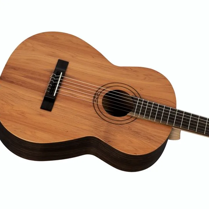 Guitare Ortega R16PC Test, Avis & Comparatif