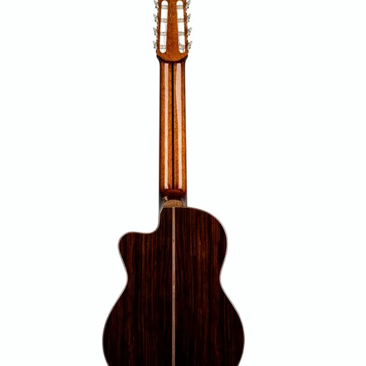 Guitare Ortega RCE158RW-8 / Comparatif, Avis & Test
