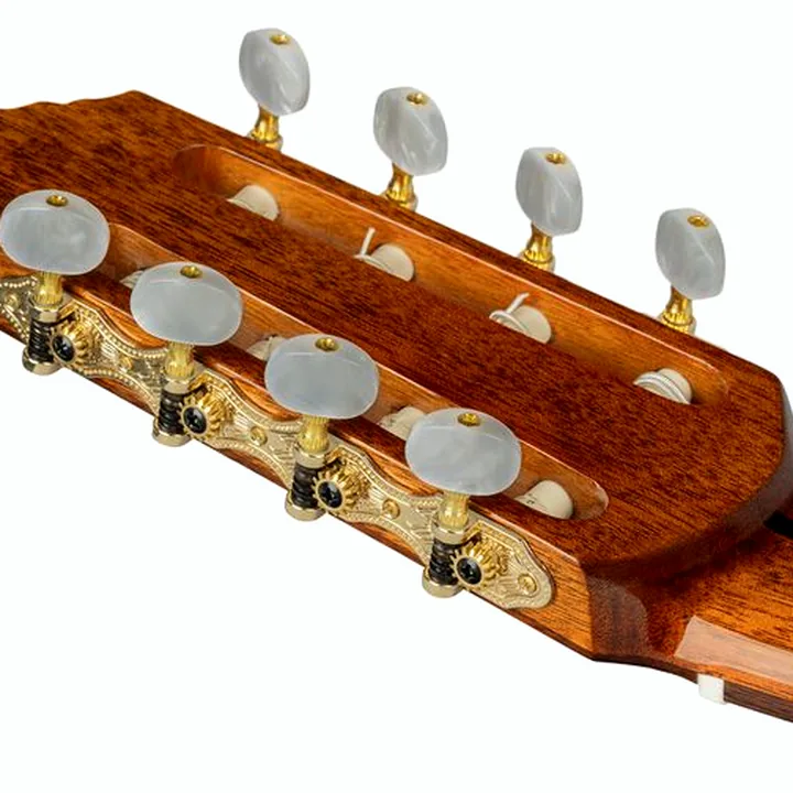 Guitare Ortega RCE158RW-8 / Comparatif, Avis & Test