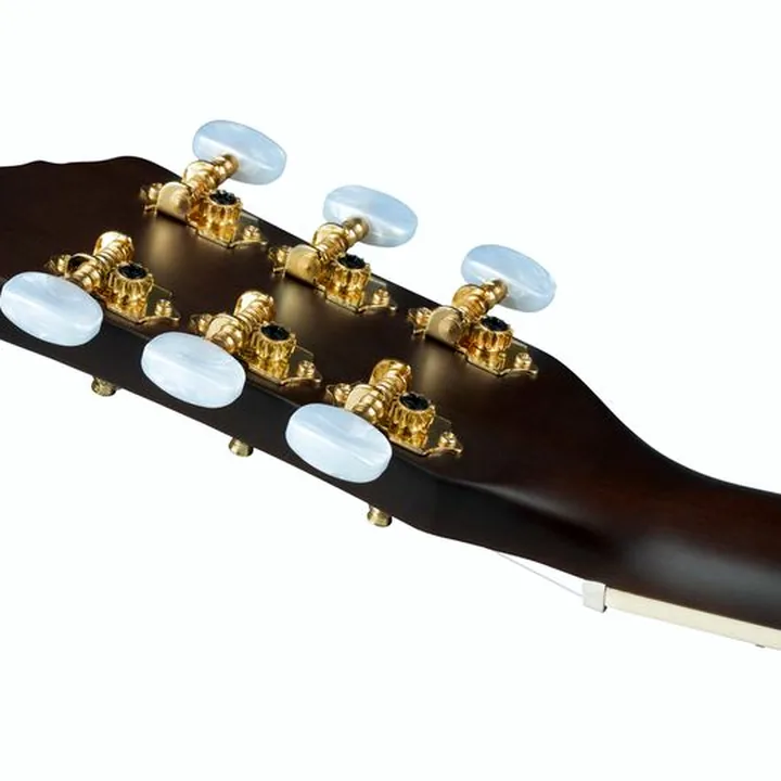 Guitare Ortega RRA-SRT Parlor Ranger St. Red Test et Avis