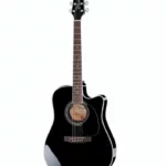 Guitare Takamine EF341SC / Avis, Test, Comparatif