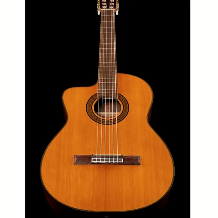 Guitare Takamine GC5CE-N-LH : Avis et Test