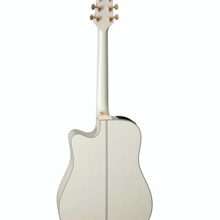 Guitare Takamine GN37CE PW – Avis et Test