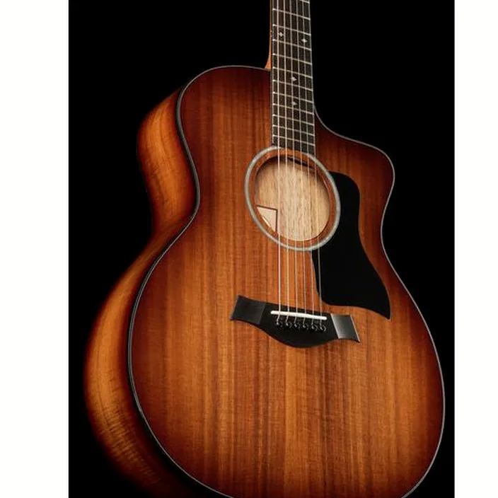 La guitare Taylor 224ce-K DLX , Avis, Comparatif et Test