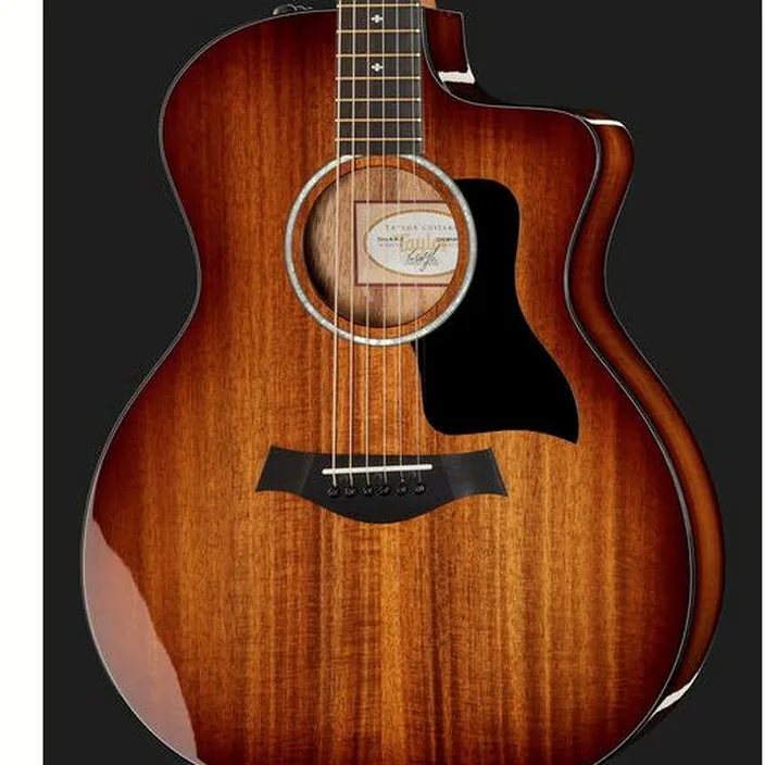 La guitare Taylor 224ce-K DLX , Avis, Comparatif et Test
