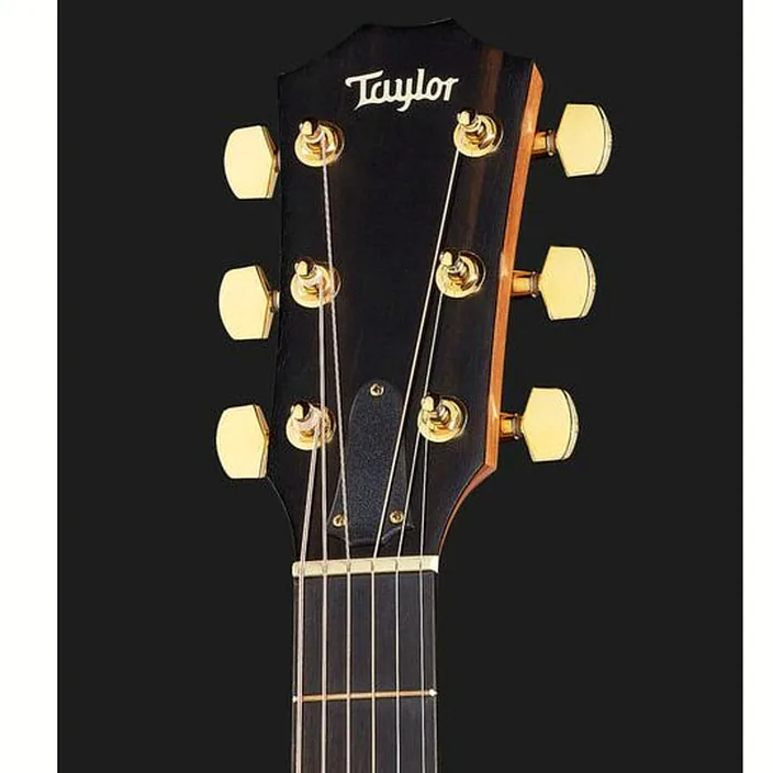 La guitare Taylor 224ce-K DLX , Avis, Comparatif et Test
