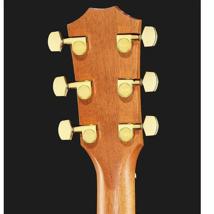 La guitare Taylor 224ce-K DLX , Avis, Comparatif et Test