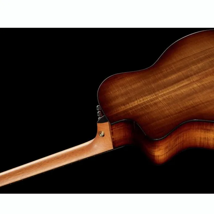 La guitare Taylor 224ce-K DLX , Avis, Comparatif et Test