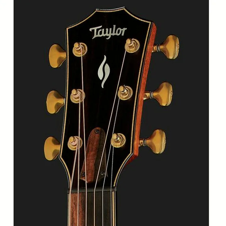 Guitare Taylor Builders Edition 816ce : Avis et Test