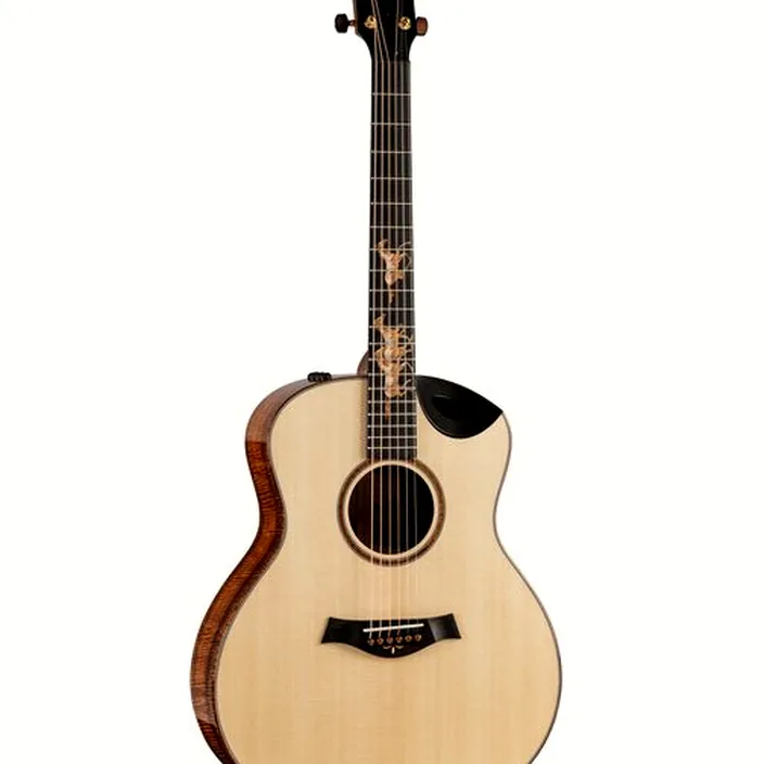 Guitare Taylor Custom #30 GS Test, Avis & Comparatif