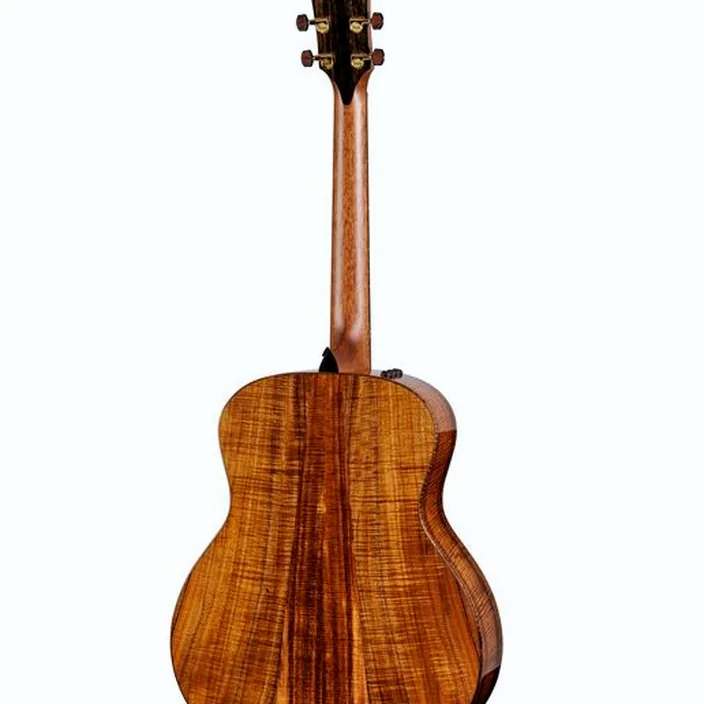 Guitare Taylor Custom #30 GS Test, Avis & Comparatif