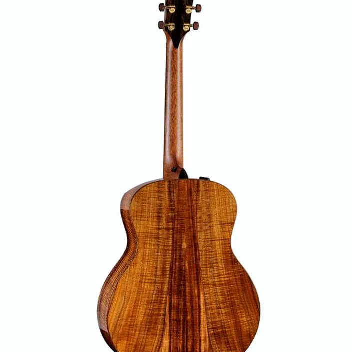 Guitare Taylor Custom #30 GS Test, Avis & Comparatif