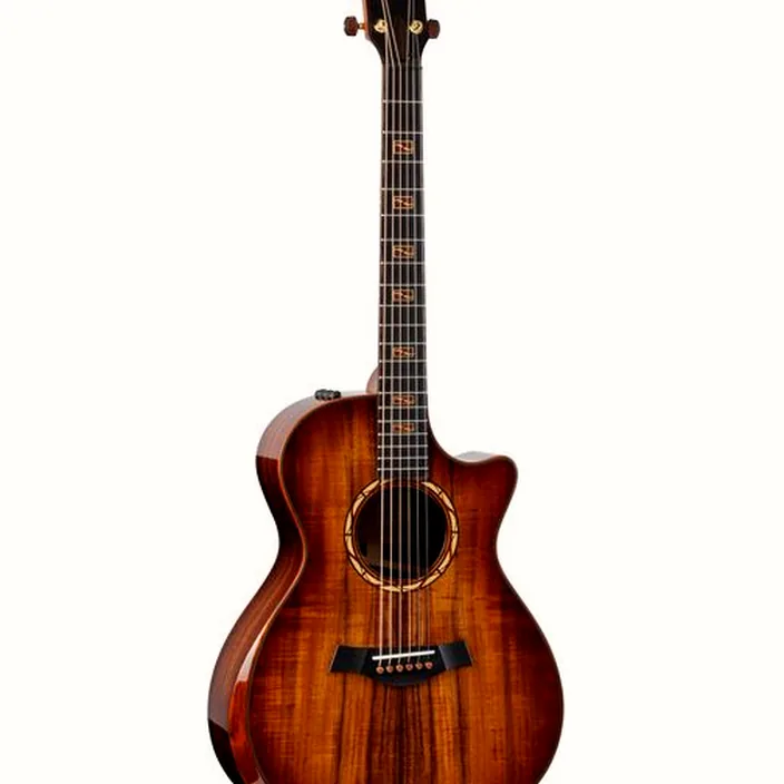 Guitare Taylor Custom #40 GC : Comparatif, Test & Avis