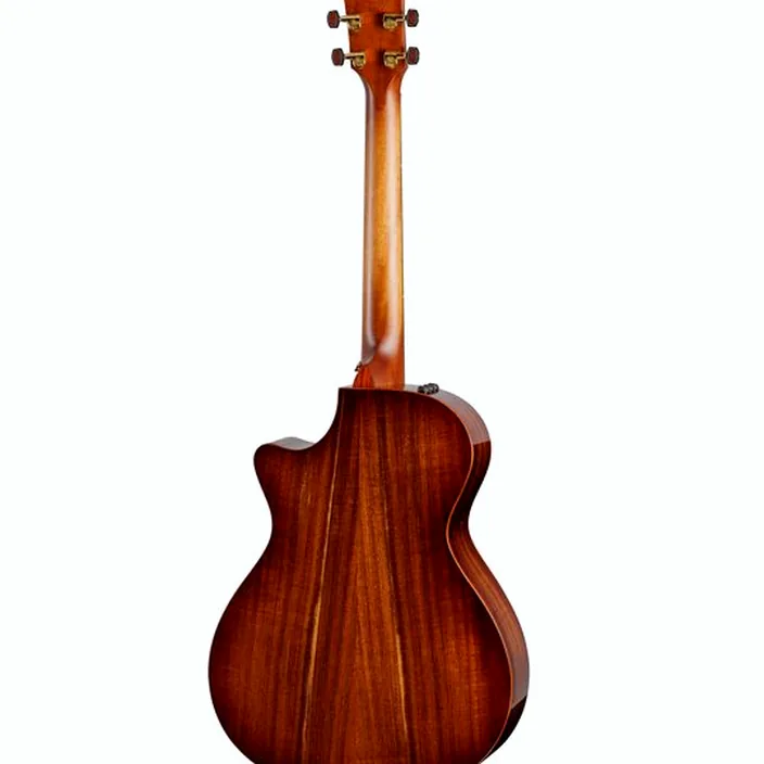 Guitare Taylor Custom #40 GC : Comparatif, Test & Avis