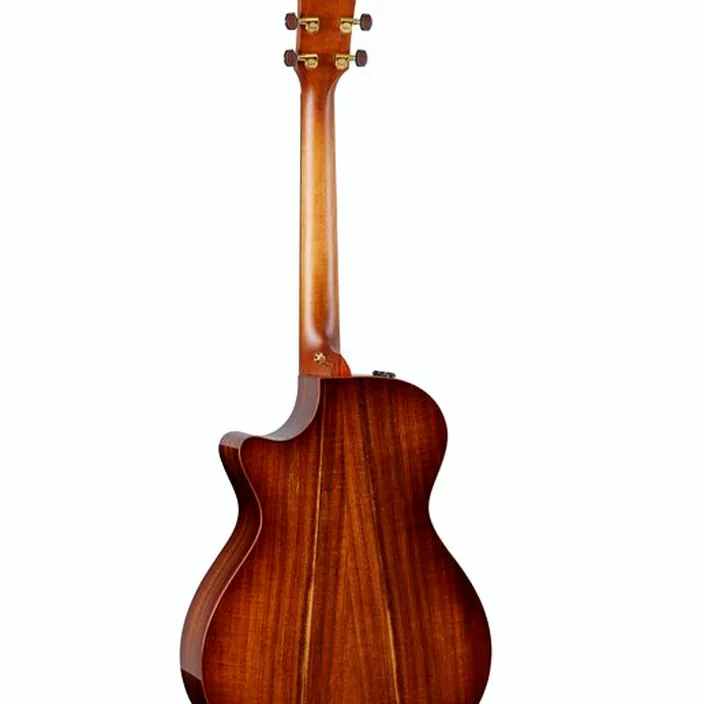 Guitare Taylor Custom #40 GC : Comparatif, Test & Avis