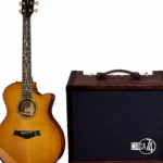 Guitare Taylor PS14ce & Circa 74 Amp 50th Comparatif, Avis et Test