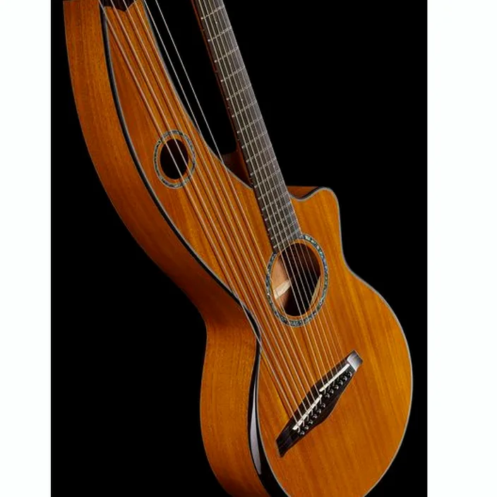 La guitare Timberline Guitars T30HGpc-e Harp Guitar , Comparatif, Avis et Test