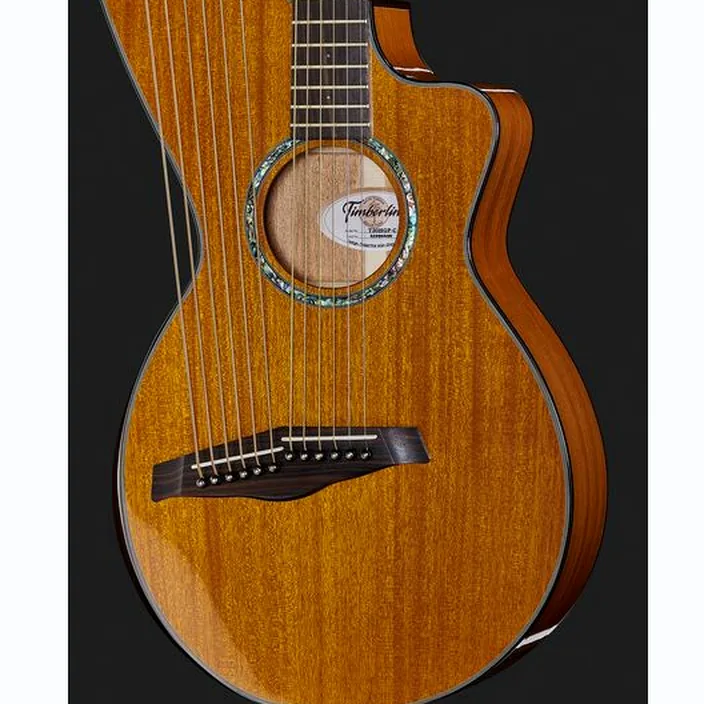 La guitare Timberline Guitars T30HGpc-e Harp Guitar , Comparatif, Avis et Test