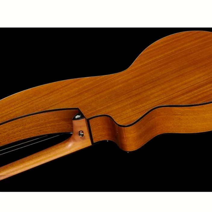 La guitare Timberline Guitars T30HGpc-e Harp Guitar , Comparatif, Avis et Test
