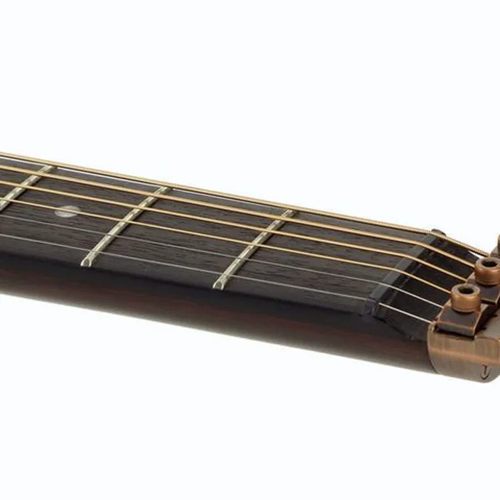 La guitare Traveler Guitar Traveler Acoustic AG-450 E - Avis, Test