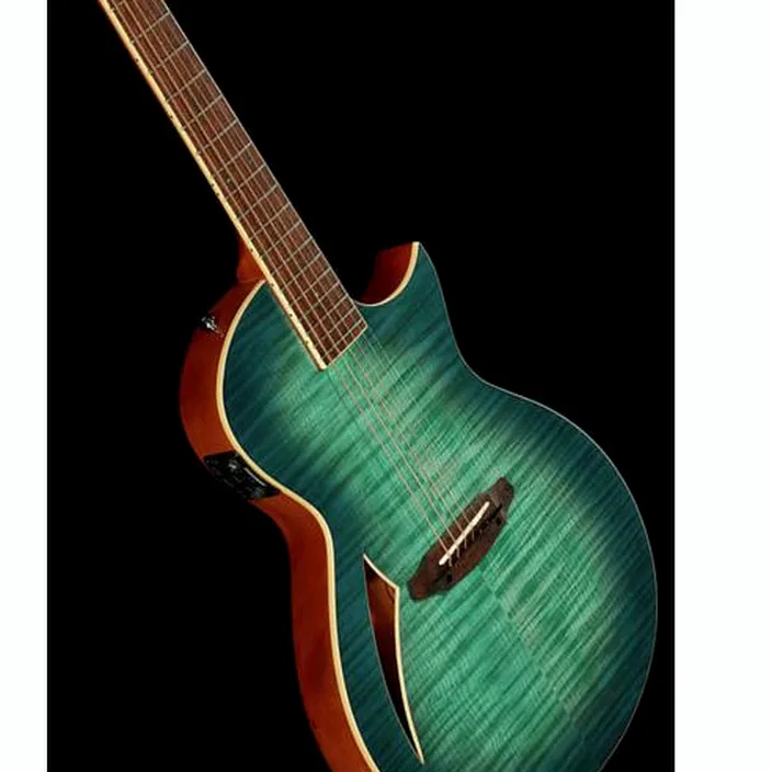 Guitarefolk ESP LTD TL-6 Fm AQMB