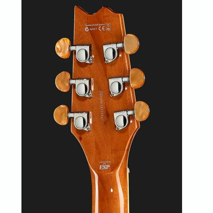 Guitarefolk ESP LTD TL-6 Fm AQMB