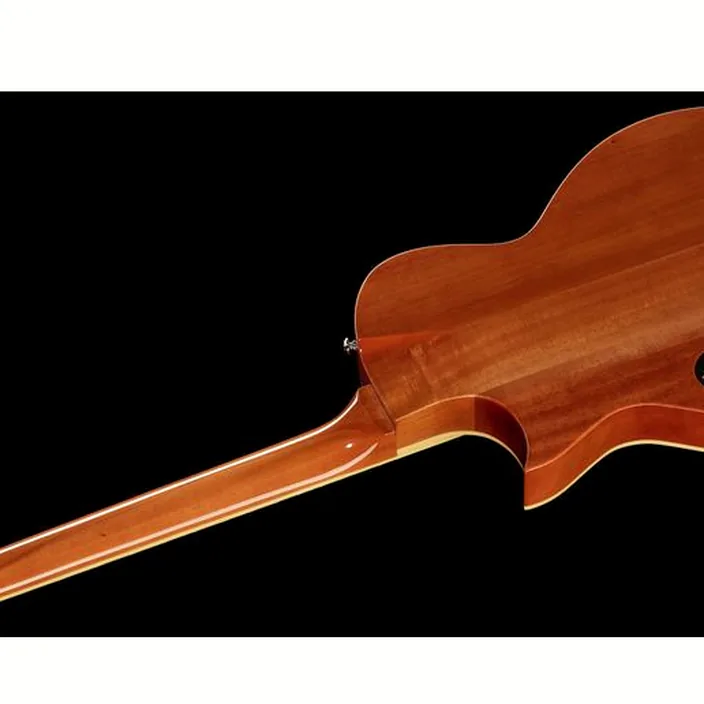 Guitarefolk ESP LTD TL-6 Fm AQMB