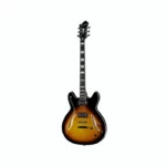 Hagstrom Viking Deluxe Baritone SB Test, Comparatif et Avis