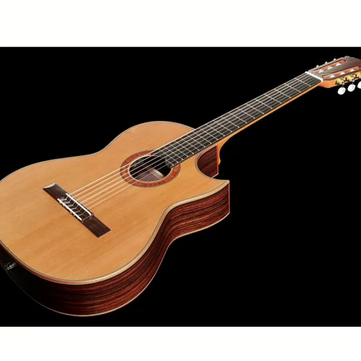Hanika BasisCut PC + Pickup System