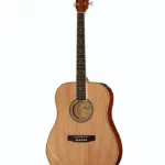 Harley Benton D-120NT Test, Comparatif, Avis
