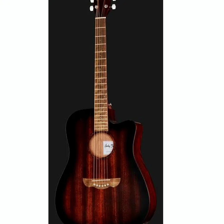 Harley Benton Delta Blues DCE Ovangkol Avis, Comparatif & Test