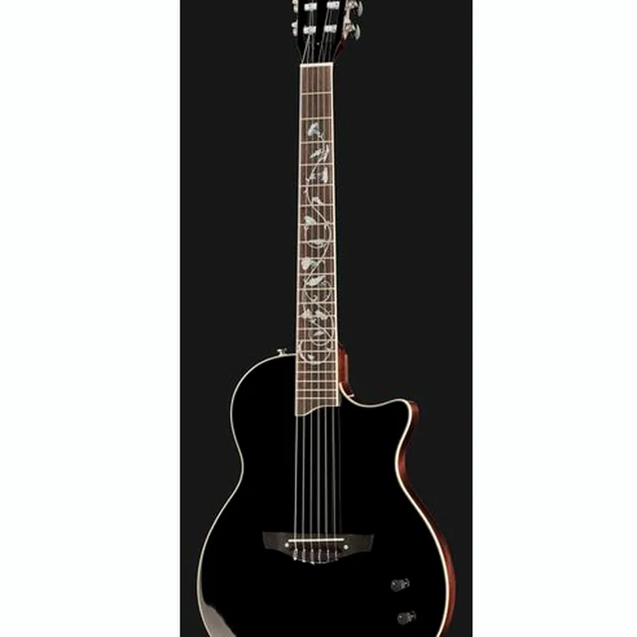 Harley Benton Nashville Nylon Plus BK w/Case Test, Comparatif, Avis