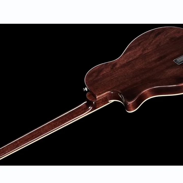 Harley Benton Nashville Nylon Plus BK w/Case Test, Comparatif, Avis