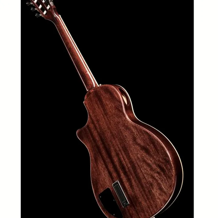 Harley Benton Nashville Nylon Plus BK w/Case Test, Comparatif, Avis