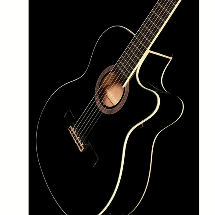 Harley Benton Santos Series C-40SCE BK