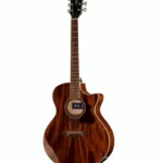 Ibanez AE245-NT , Test, Comparatif, Avis