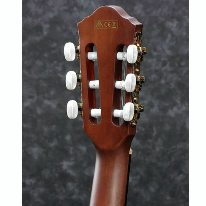 Ibanez AEG50N-BKH Nylon Comparatif, Avis et Test